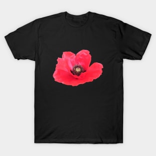 Poppy T-Shirt